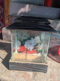 fish aquarium for sale 0