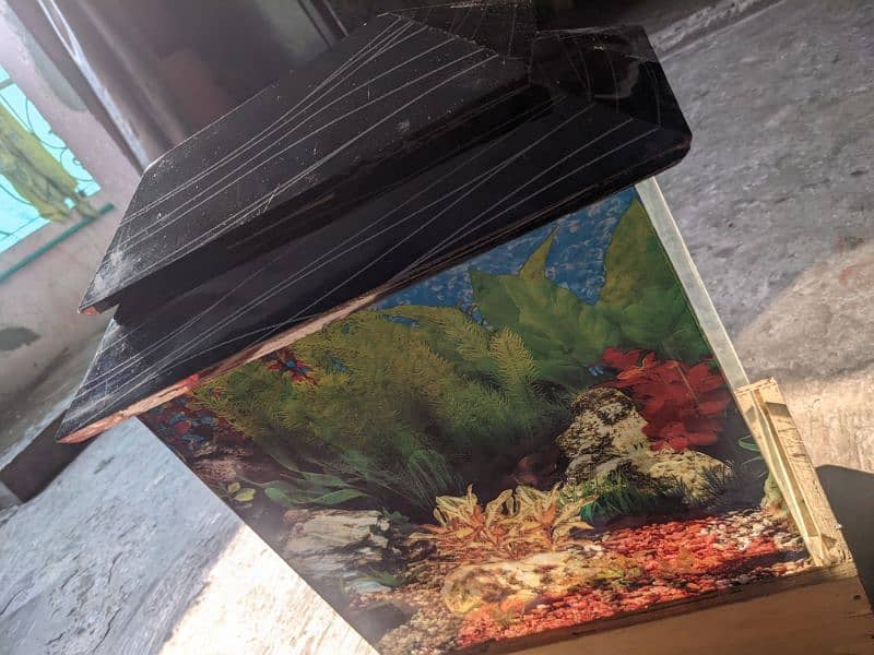 fish aquarium for sale 1