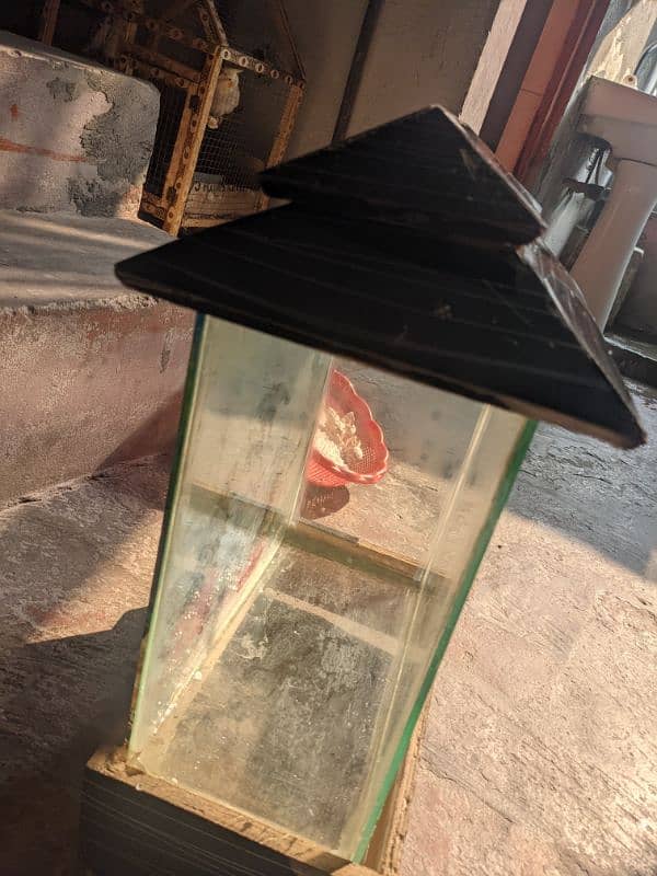 fish aquarium for sale 2