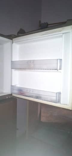 frige