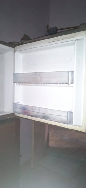 frige 0