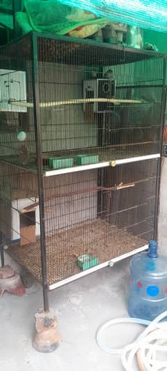 love bird & Cage with boxes