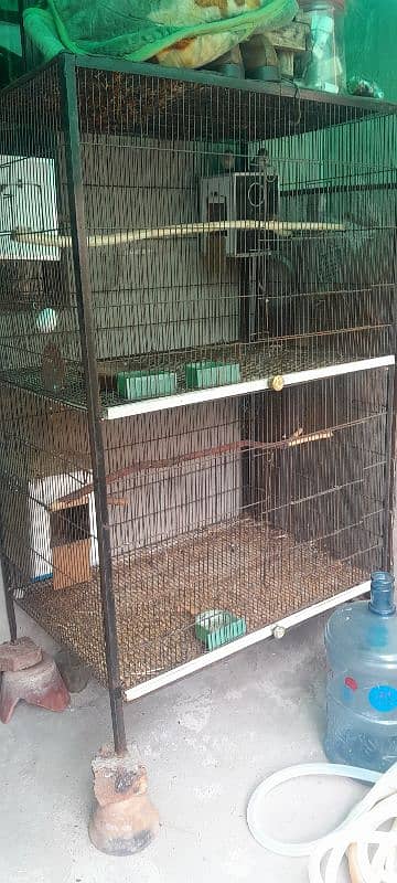 love bird & Cage with boxes 2