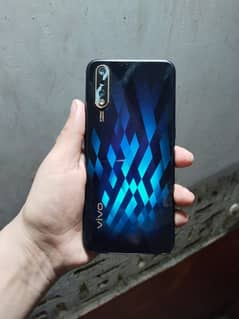 vivo