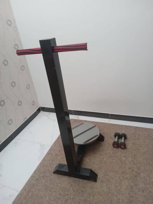 Air bike and twister for fitness gym for sale in good Airbike 41 7