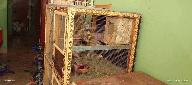 Birds cages for sale 5