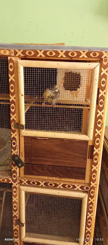 Birds cages for sale 6