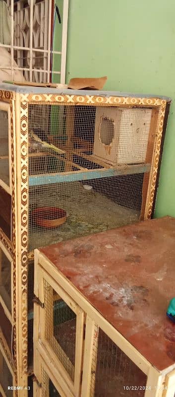 Birds cages for sale 7