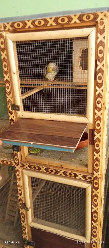 Birds cages for sale 8