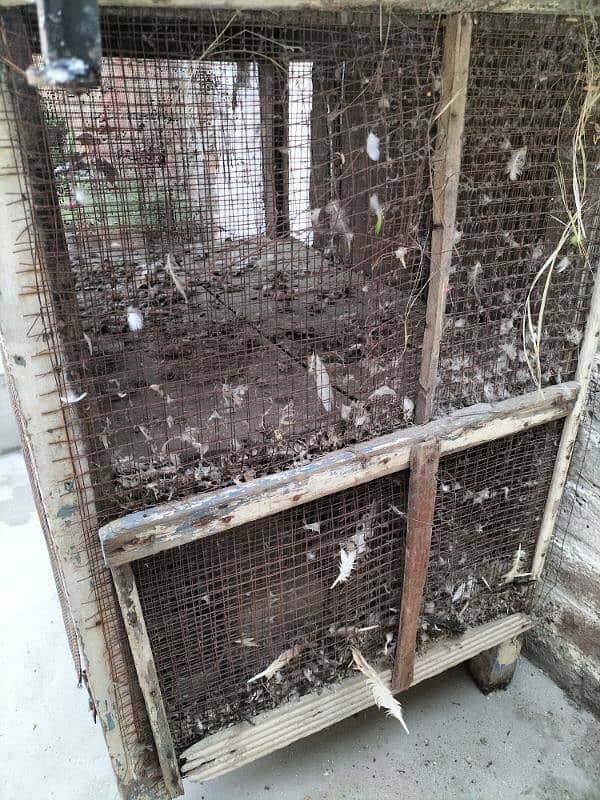 2 portion cage for sale 3