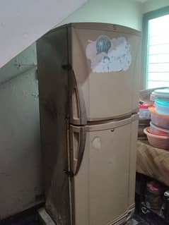 PEL Fridge for sale