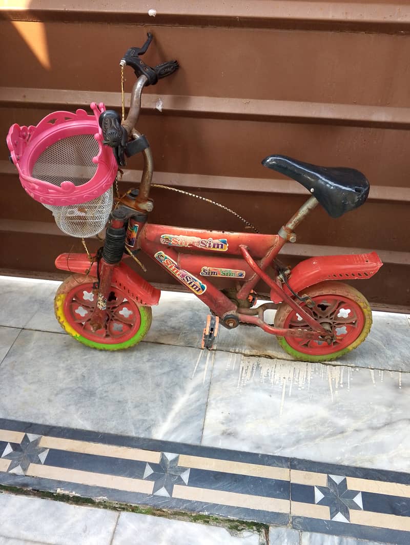 2 to 7 year age kid Cycle 4