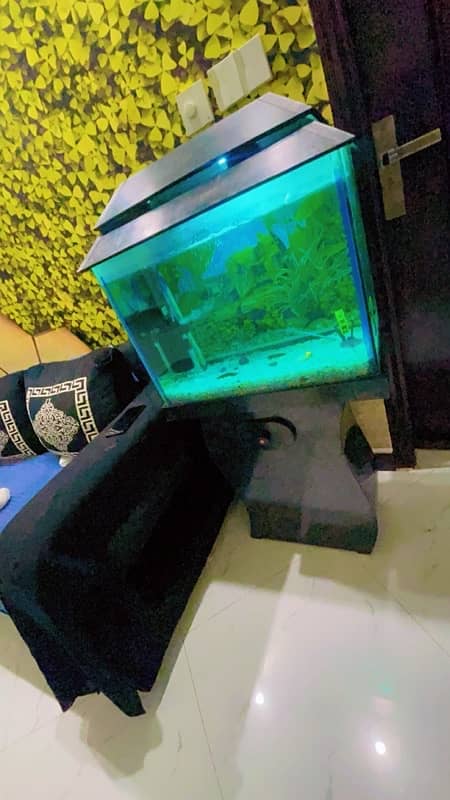 Fish Aquarium 1