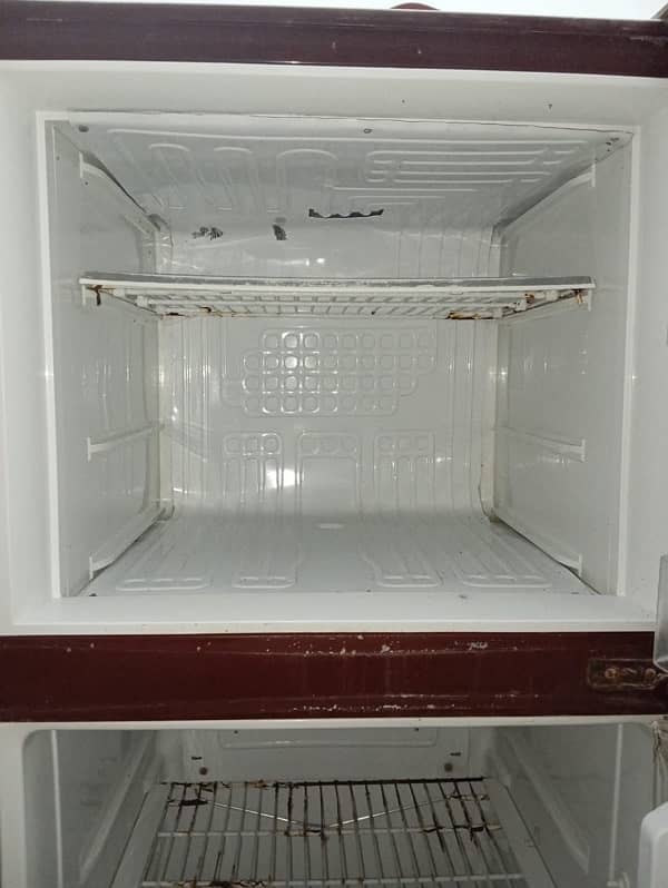 pel freezer PRGD 155 2