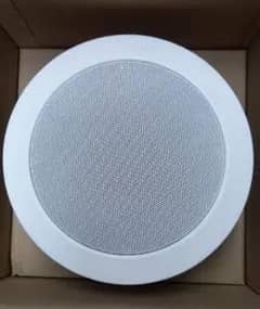 ceiling speaker's