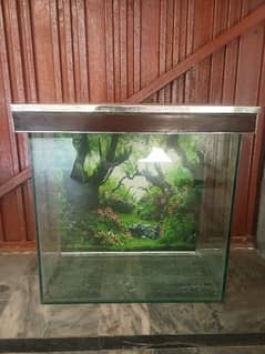 Fish aquarium 2.5/2.5/1 ft