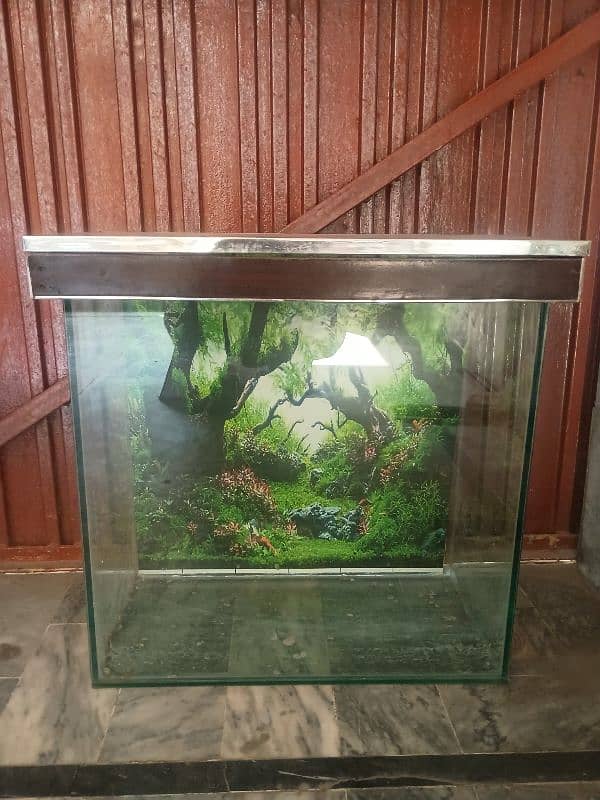 Fish aquarium 2.5/2.5/1 ft 0