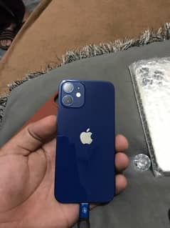 iPhone 12 mini