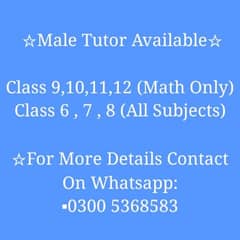 Male Tutor Available