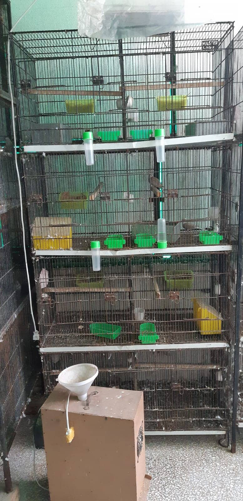 Cages for Sale 7