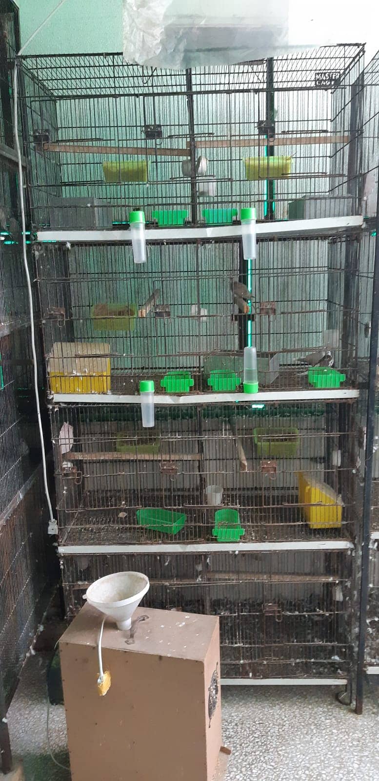 Cages for Sale 8