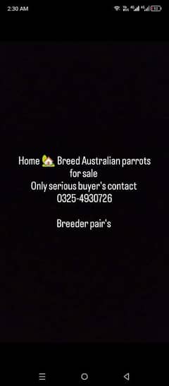 Breeder