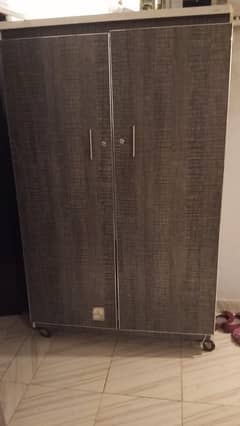 2 Door Cabinet For sale