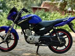 YAMAHA YBR 03313939676