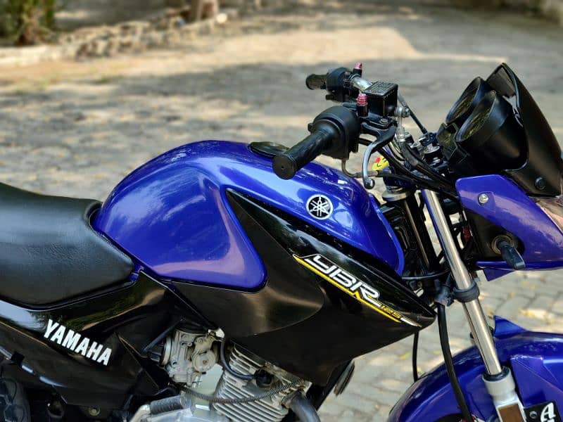 YAMAHA YBR 03313939676 7