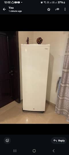 vertical freezer