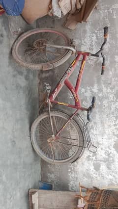 bicycle 0