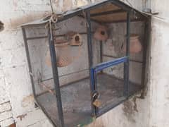 Cage for birds available