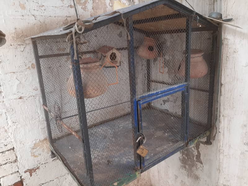 Cage for birds available 0