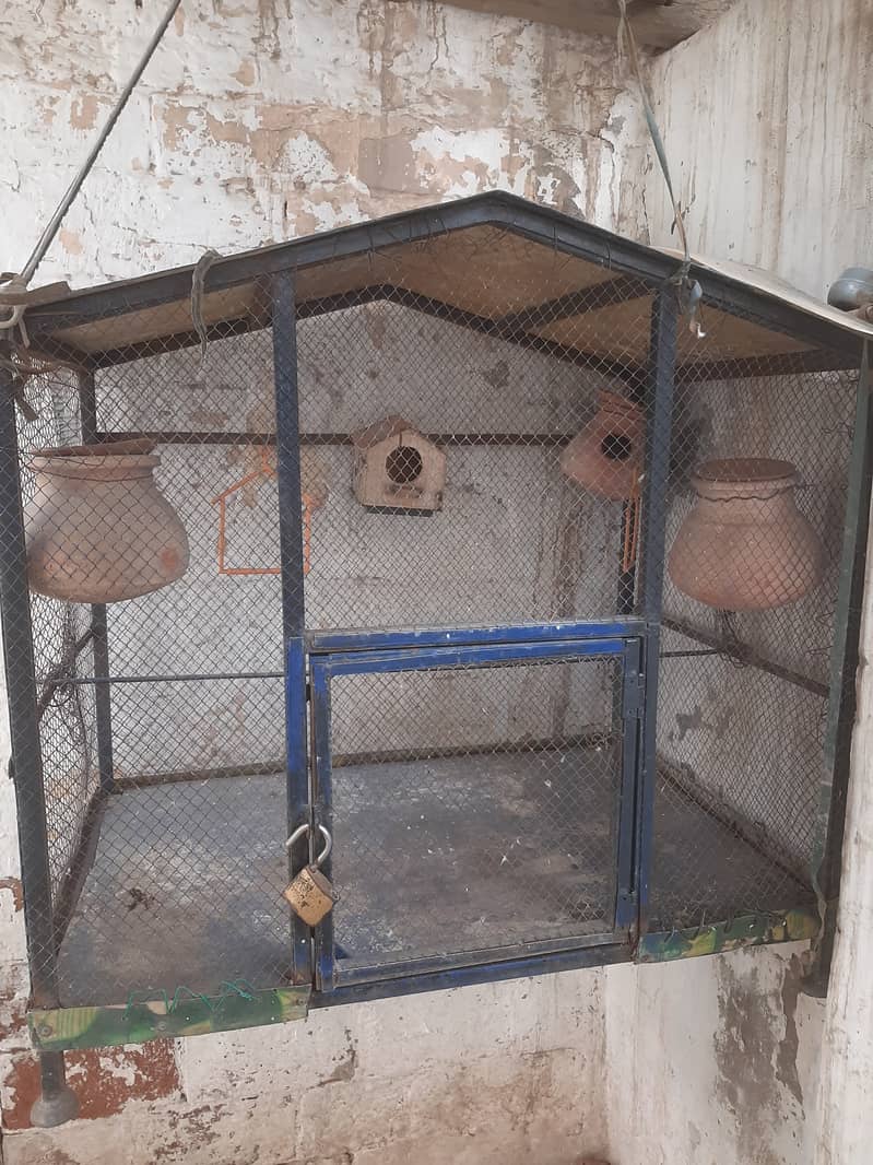 Cage for birds available 1