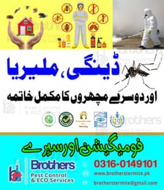 Termite ,Deemak control, bed bug, dengue spray,Pest Control, cockroach 0