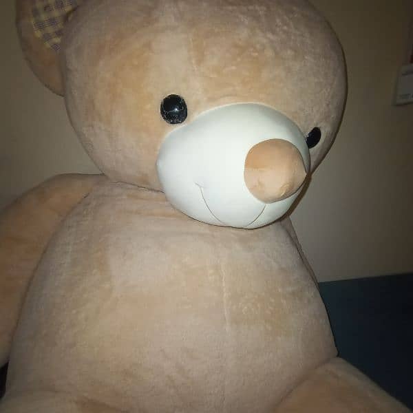 teddy bear 1