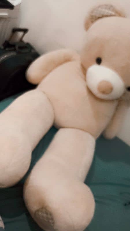 teddy bear 4