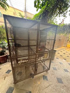 Hen Parrot Cage