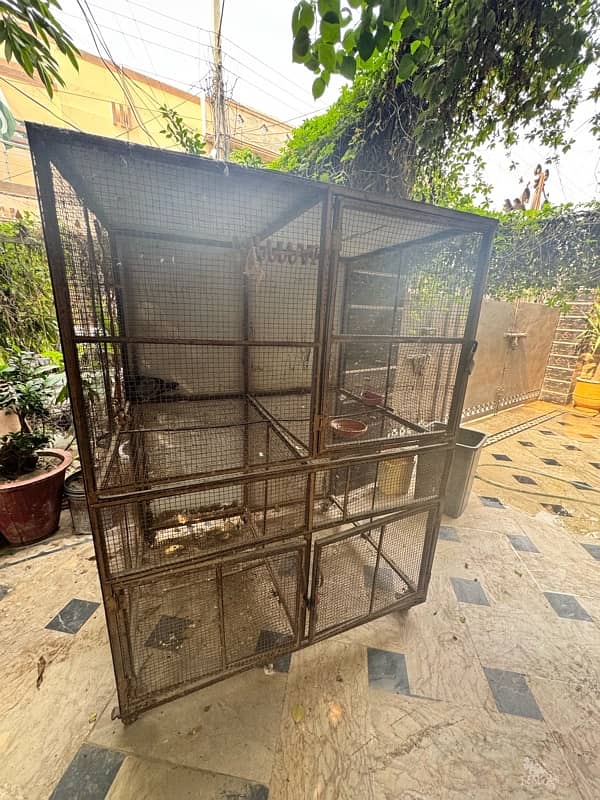 Hen Parrot Cage 0