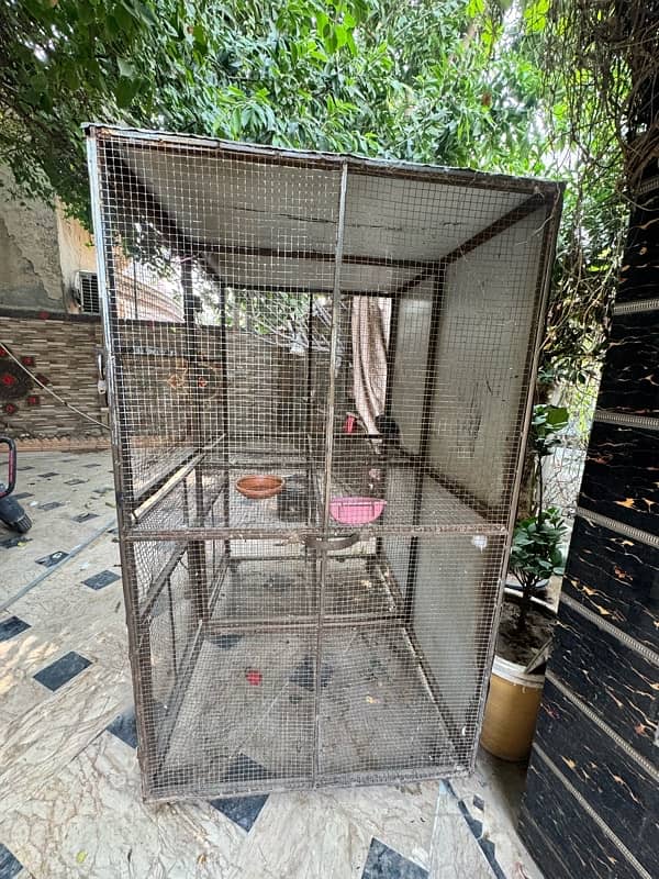 Hen Parrot Cage 2