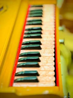 Bhargava Antique reeds harmonium