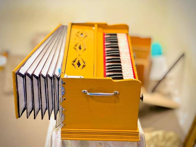 Bhargava Antique reeds harmonium 1