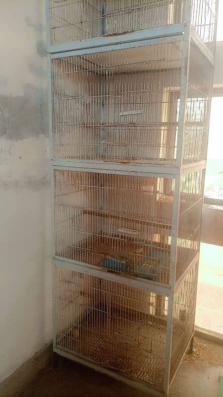 birds cages for sale 2