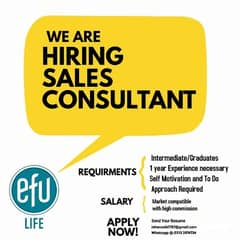 Sales Consultant