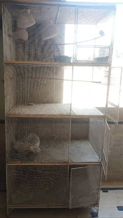 cage for birds