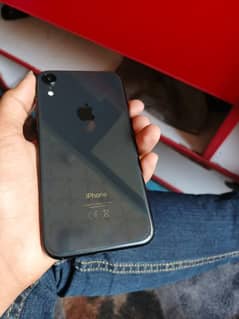 iPhone XR