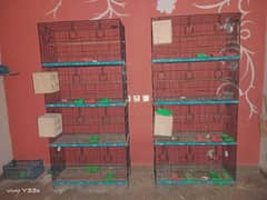 parrot cages for sale