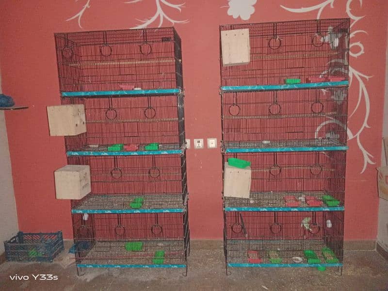 parrot cages for sale 0