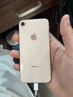 Iphone 8 64GB PTA Approved 0