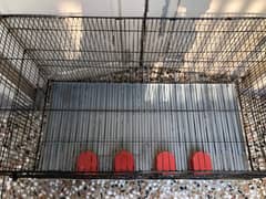 cage for sale